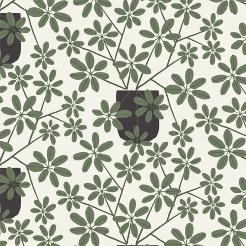 Umbrella plants, or money trees, grow in every direction from scattered black pots on a cream background, their leaves creating starbursts. From the Planted Collection by Betsy Siber for Cloud9. 100% Cotton, 44" wide.