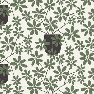 Umbrella plants, or money trees, grow in every direction from scattered black pots on a cream background, their leaves creating starbursts. From the Planted Collection by Betsy Siber for Cloud9. 100% Cotton, 44" wide.