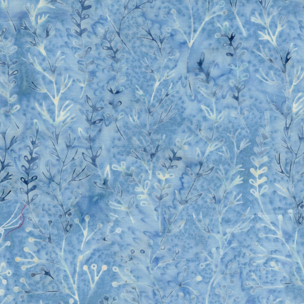 Meadow - Meadow Brook