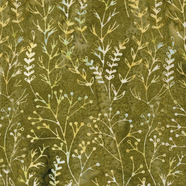 Meadow - Meadow Brook