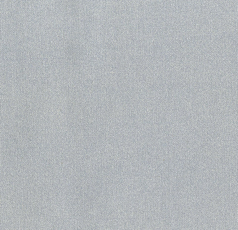 Silver Metallic - Metallic Solid