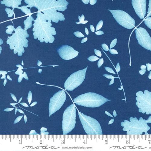 This Collection is full of beautiful blue fabrics inspired by nature. Designed by Janet Clare for Moda Fabrics. This fabric is a deep blue with leaf sun prints.   100% Cotton, 44/5"