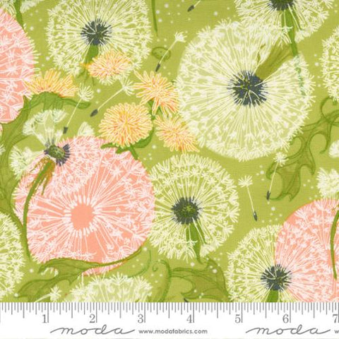 Thie beautiful floral fabric is light and whimsical. Designed by Robin Pickens for Moda Fabrics. Dandelions with bright greens, peachy pinks and white. 100% Cotton, 44/5"