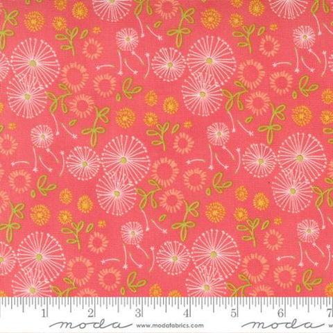 Thie beautiful floral fabric is light and whimsical. Designed by Robin Pickens for Moda Fabrics. Dandelions on a bright coral pink background with bright green leaves. 100% Cotton, 44/5"