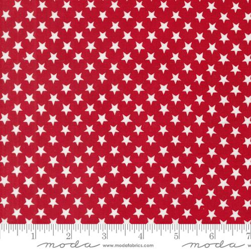 Stars in a Row - Red White Bloom - Patriotic Poppy