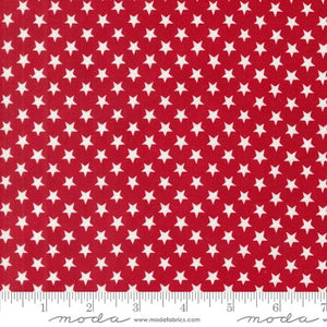 Stars in a Row - Red White Bloom - Patriotic Poppy