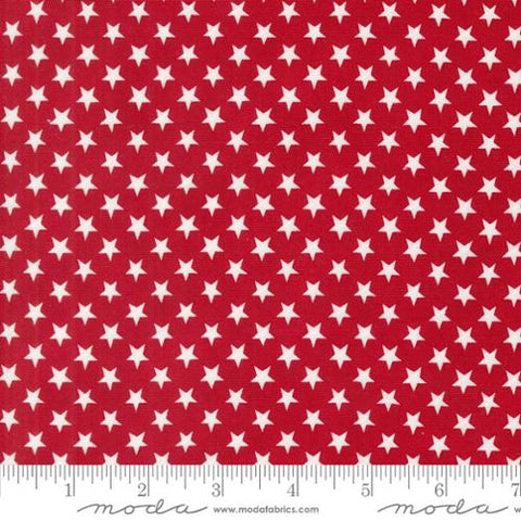 Stars in a Row - Red White Bloom - Patriotic Poppy