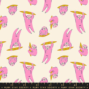 Sloths - Animal Animal - Natural