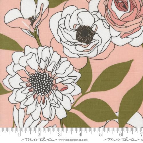 Cabbage Rose - Botany - Peony