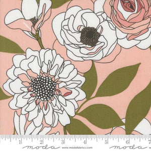 Cabbage Rose - Botany - Peony