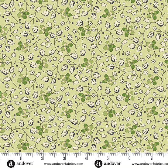 Creeping Clover - Little Clover - Grellow