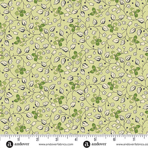 Creeping Clover - Little Clover - Grellow