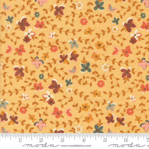Gather - Acorn Hollow - Maize