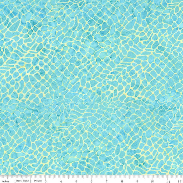 23715 - Sunken Treasure