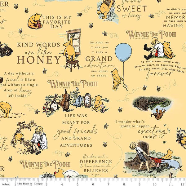 Winnie the Pooh Main - Winnie the Pooh