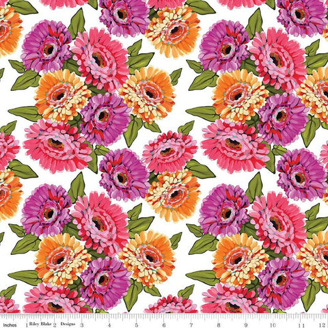 Zinnias Main - Zinnias - White