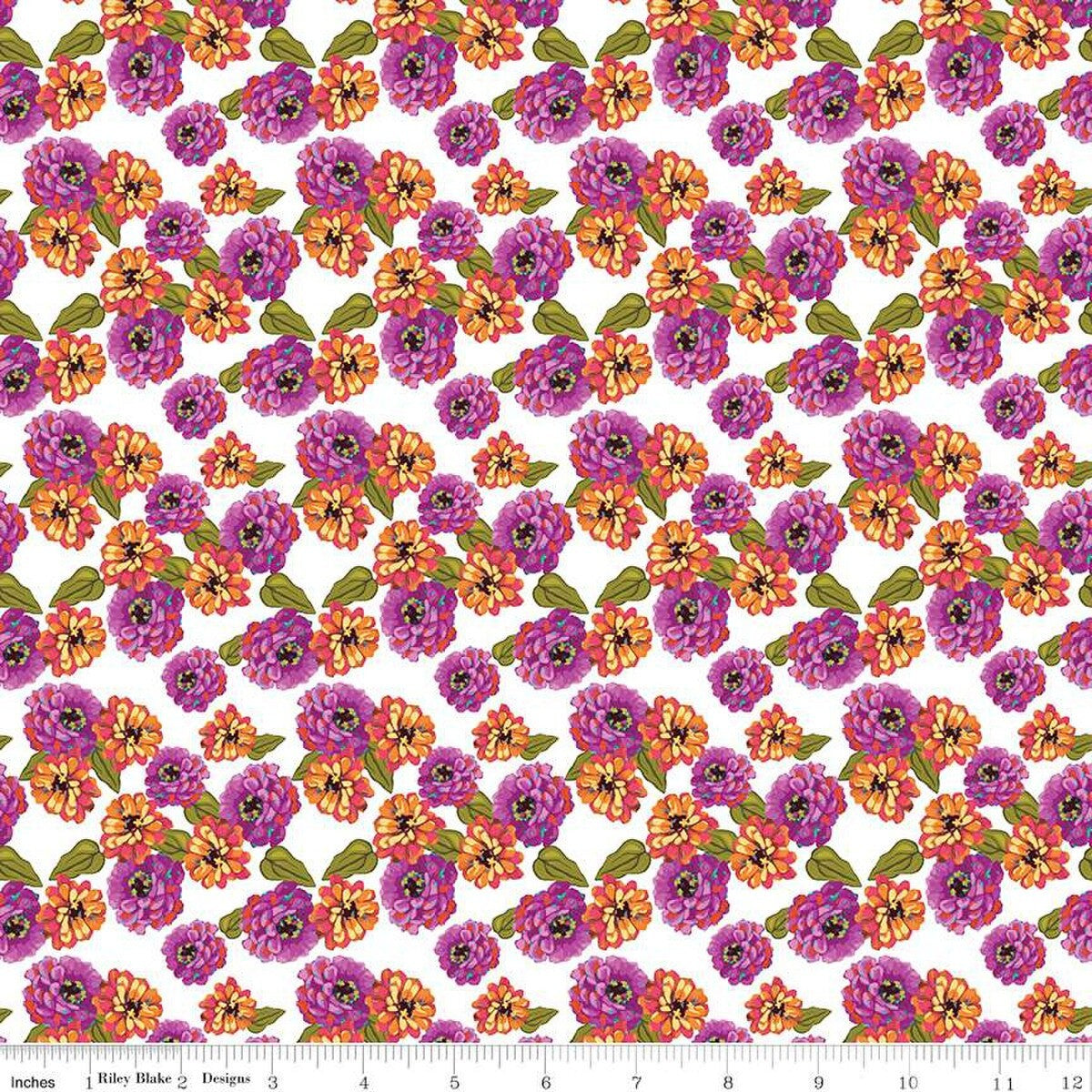 Zinnias - Zinnias - White