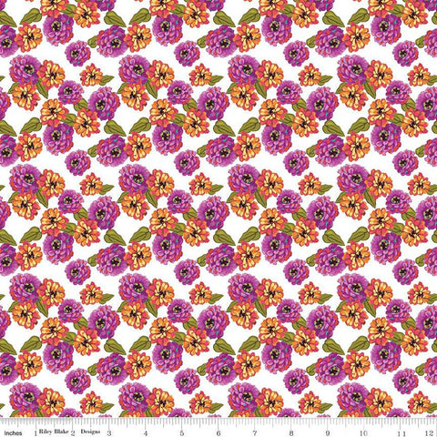 Zinnias - Zinnias - White