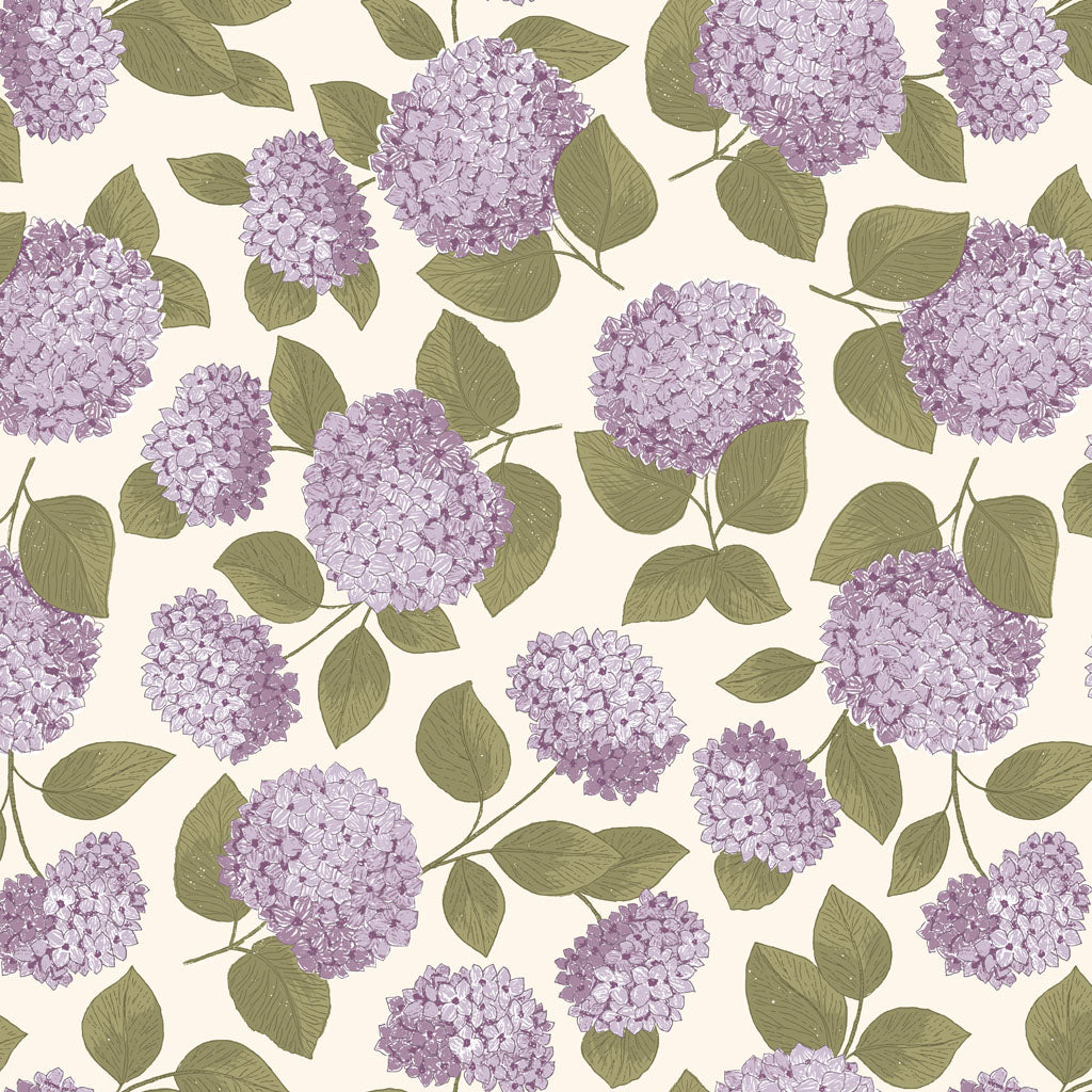 Hydrangea Toss - Dawn Melody - Cream
