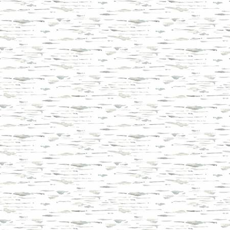 Winter White - Gray Birch Texture