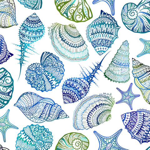 Shells - Wonders of the Ocean