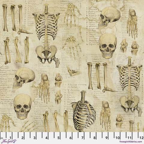 Anatomy - Laboratory - Neutral