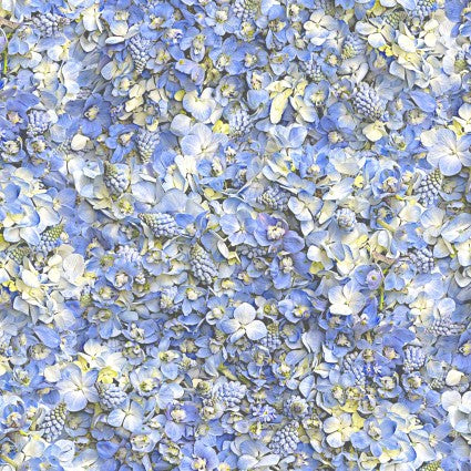 This fabric is designed by Nicholas Lapp for the collection Hand Picked: Forget Me Not. This fabric is covered in blue flowers with whites, yellows and greens. 