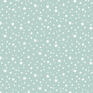 Starry Flannel