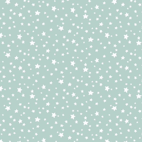 Starry Flannel