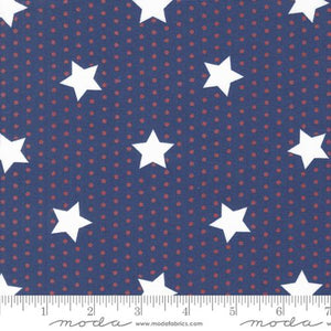 Stars and Dots Twilight