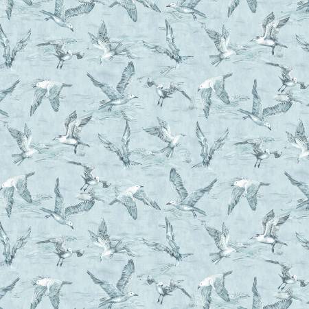 Blue Seagull Flock