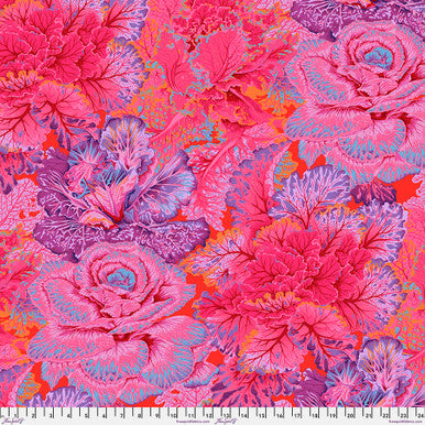 Kaffe Fassett - Curly Kale