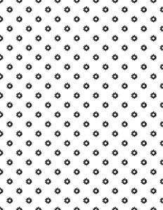 Daisy Dot White