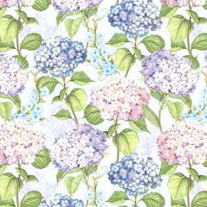 Multi Color Hydrangea - Hydrangea Mist