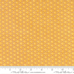 Honey Lavender - Honeycomb