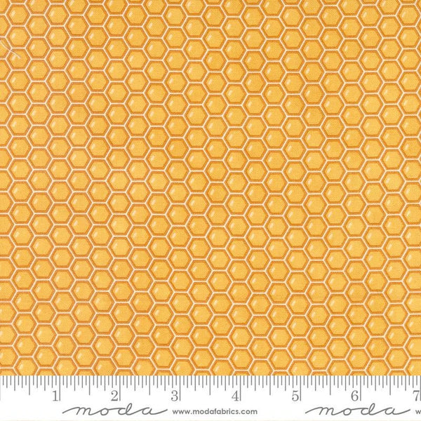 Honeycomb - Honey Lavender