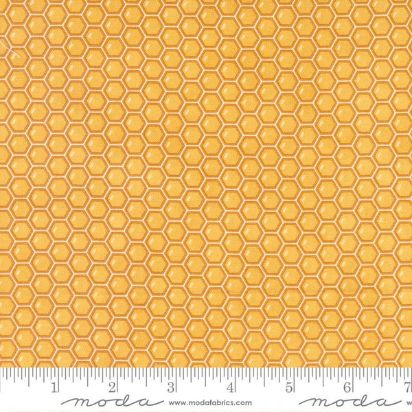 Honey Lavender - Honeycomb
