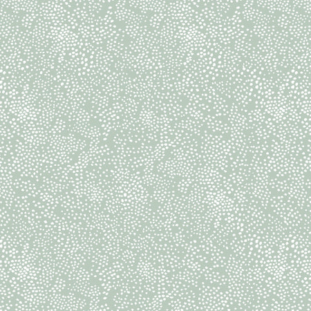 Menagerie Champagne - Basics