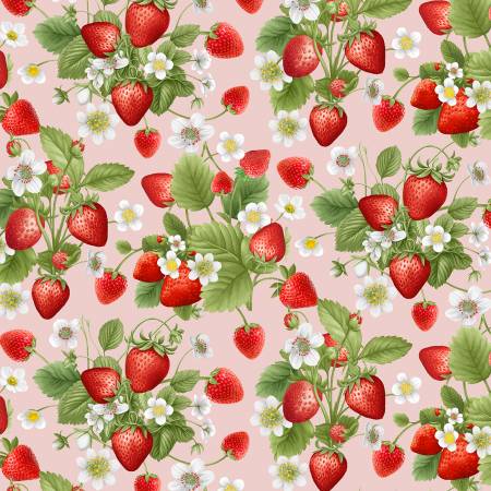 Strawberries Bouquet