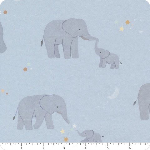 Elephants - To The Moon and Back - Sky