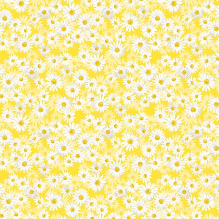 This charming daisy textile has a painterly quality with each petal.  From KANVAS by Benartex Daisy Delight by Kanvas Studio Collection 100% Cotton, 44/5" ALL FABRICS ARE PRICED BY THE HALF YARD.  PLEASE ORDER IN QUANTITIES OF 1/2 YARD.  WE WILL CUT IN ONE PIECE.