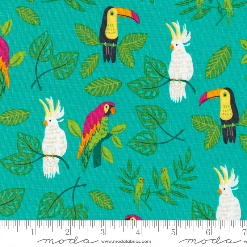 Birds In Paradise Novelty Tropical Birds