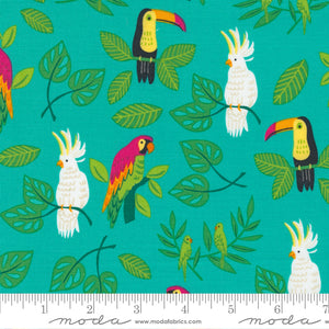 Birds In Paradise Novelty Tropical Birds