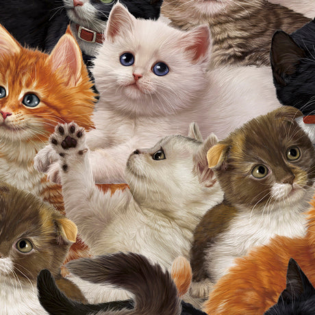 Studious little kitties frolic among library shelves and you can’t help but fall in love. Rich shades of black, brown, gold, and red depict our furry friends in a sophisticated, yet playful setting. Purrfect for a project to sit back, relax and read a book with your favorite cat! ©Image World.  100% cotton, 44/5"