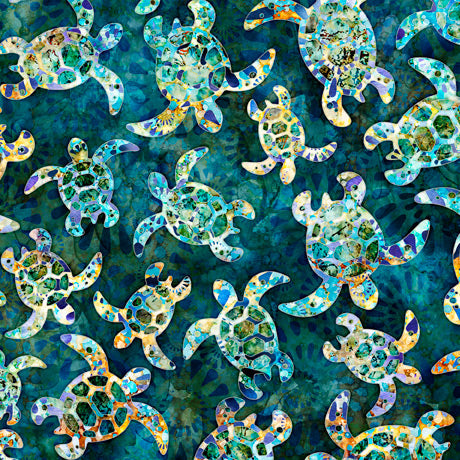 Pacifica Sea Turtles