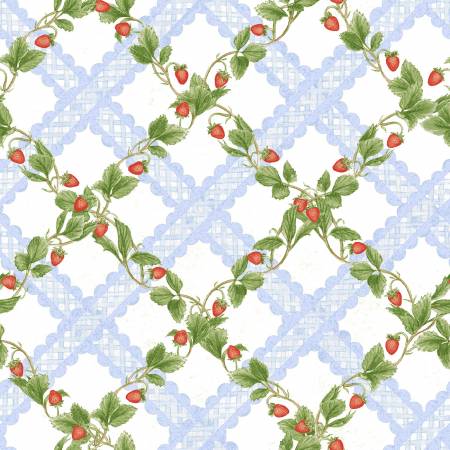 This strawberry lattice fabric is from Henry Glass Studio by Jane Shasky. This fabric has lace lattice and vine lattice over a white background. This would make adorable kitchen accessories or even garments! The strawberries are small and cute. 