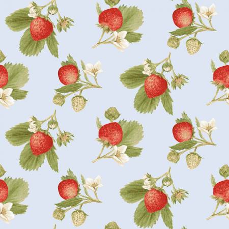 strawberry seed fabric Strawberry Garden