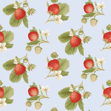 This strawberry fabric is from Henry Glass Studio by Jane Shasky. This fabric has a bunch of strawberries with sprigs and leaves over a light blue background. This would make adorable kitchen accessories or even garments! The strawberries are small and cute. 