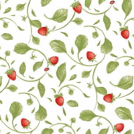 This strawberry fabric is from Henry Glass Studio by Jane Shasky. This fabric has a bunch of strawberries with stems and leaves over a bright white background. This would make adorable kitchen accessories or even garments! The strawberries are small and cute. 