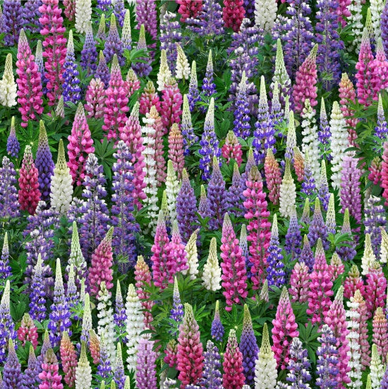 Landscape Medley - from Elizabeth Studios. This beautiful fabric is photo worthy. A field of Lupines will brighten any project!